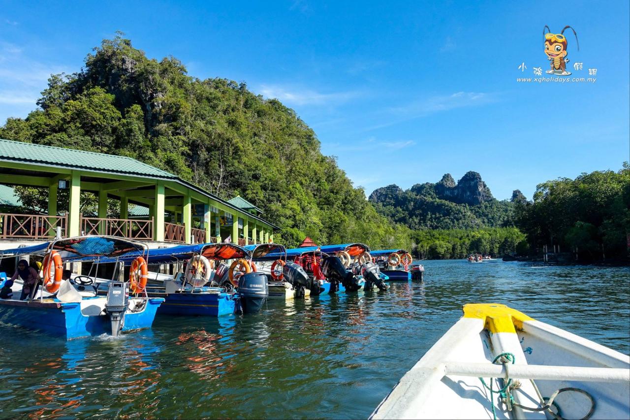 Jelajahi Ekosistem Unik Mangrove Langkawi dengan Mangrove Tour